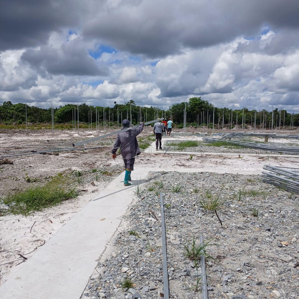 013 Green Houses (19)