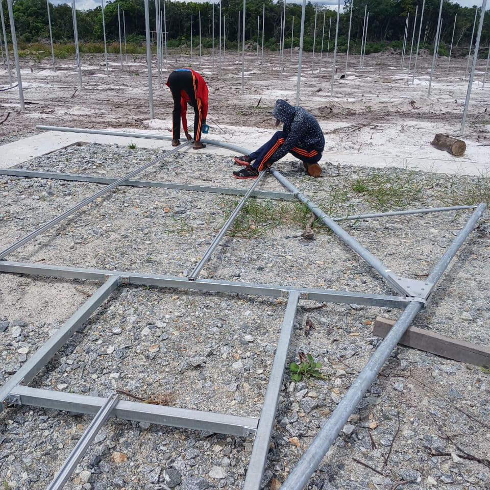 013 Green Houses (20)