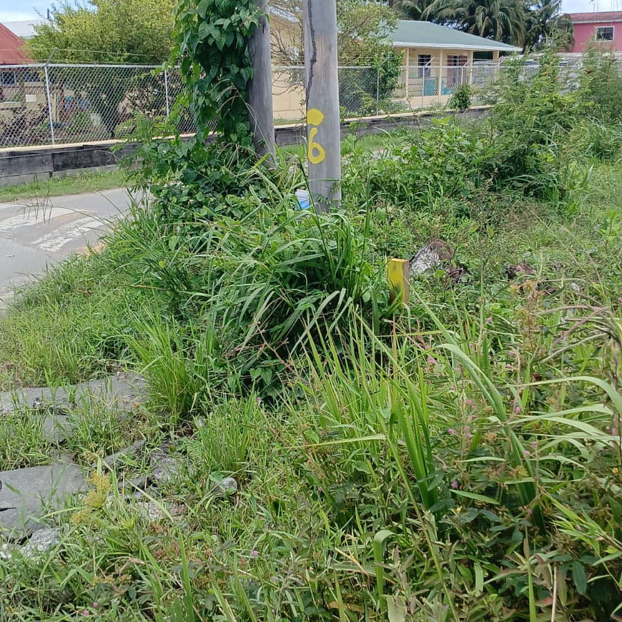 014 Power Lines (29)
