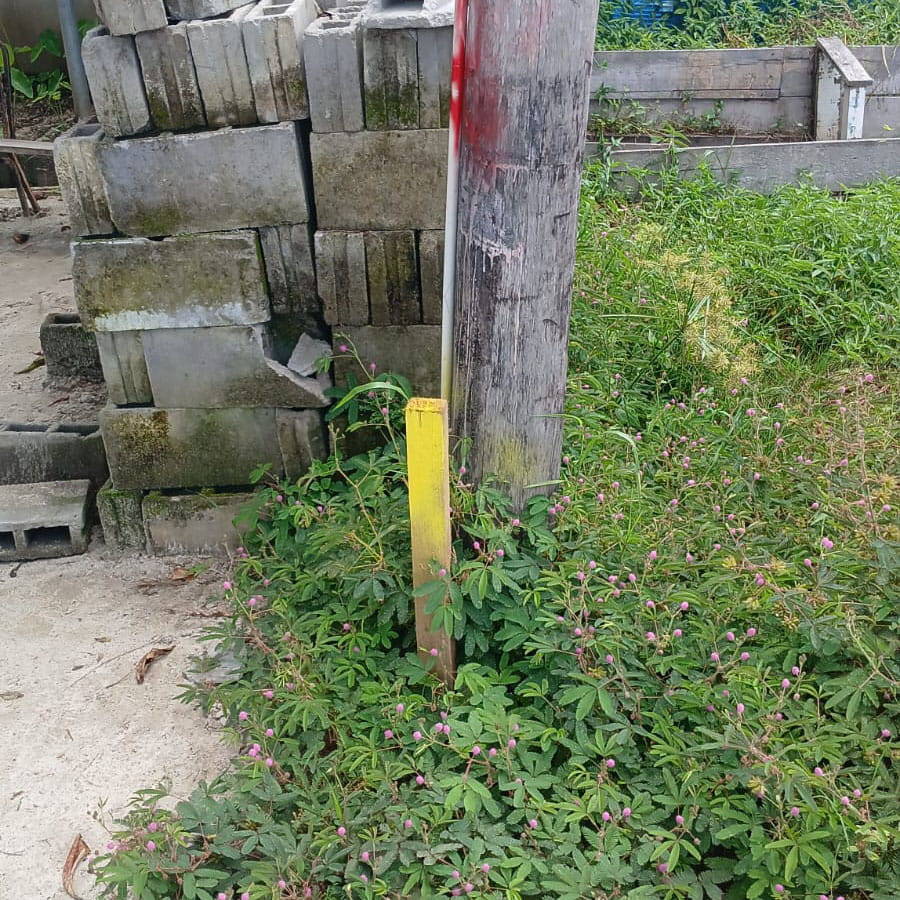 014 Power Lines (30)